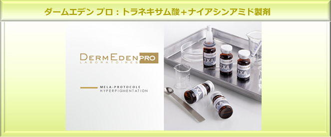 薬剤導入治療（ダームエデン プロ）