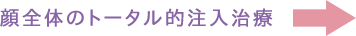 顔全体のトータル的注入治療