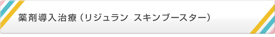 薬剤導入治療（リジュラン スキンブースター）