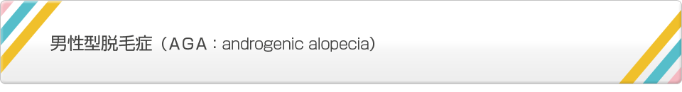 男性型脱毛症（AGA：androgenic alopecia）