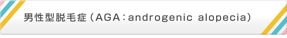 男性型脱毛症(AGA:androgenic alopecia)